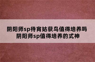 阴阳师sp待宵姑获鸟值得培养吗 阴阳师sp值得培养的式神